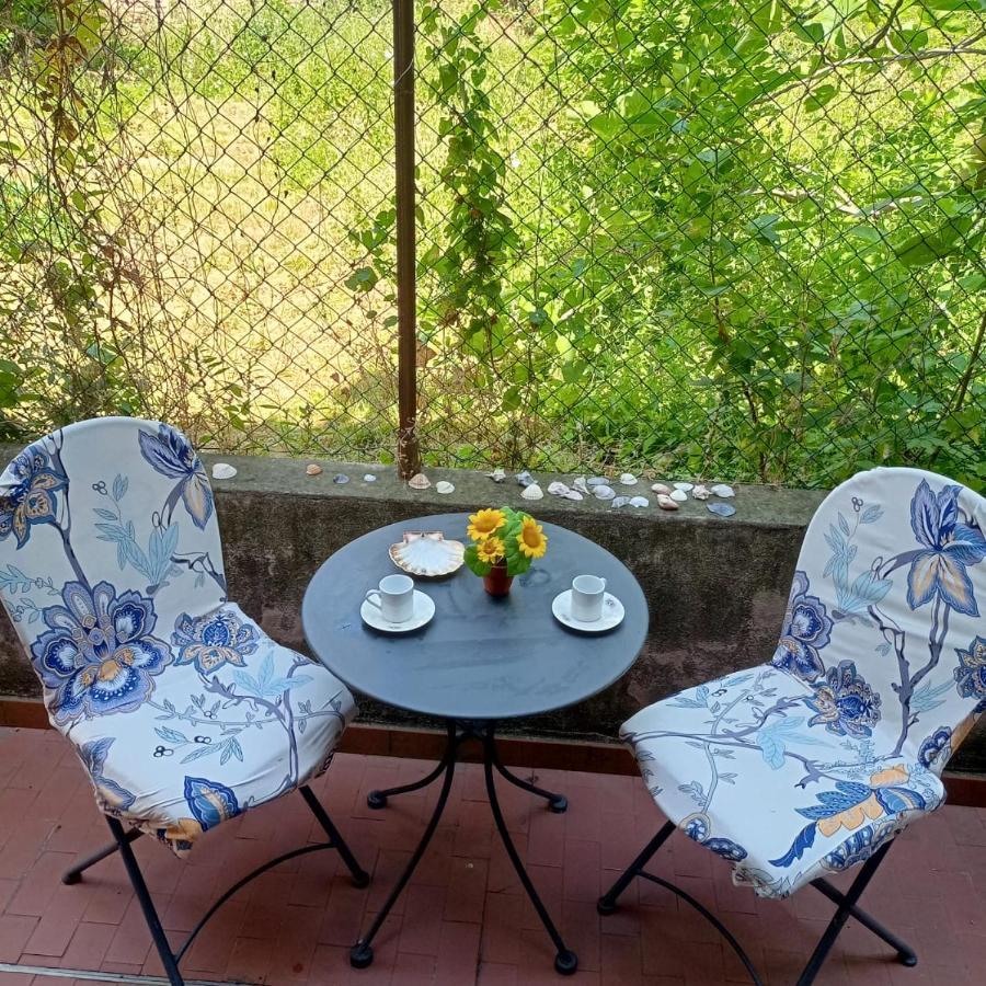 Beatiful Modern Flat Venice Centre With Private Lounge Green Area Relax Bagian luar foto
